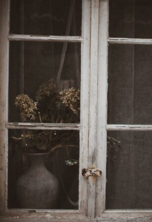 Gwénaël Courtin Photographe -Nature morte